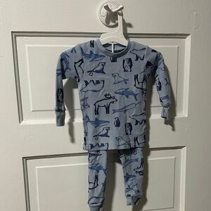 Carter's Light Blue Animal Pajama Set